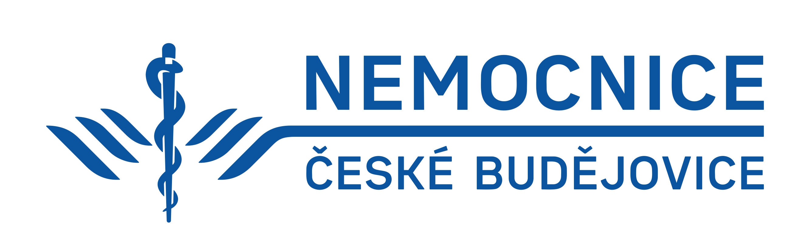Logo Nemocnice České Budějovice